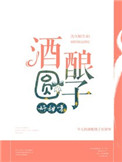 酒酿圆子的图片